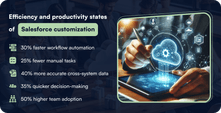 Efficiency and productivity states of Salesforce customization
