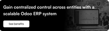 Gain centralized control across entities with a scalable Odoo ERP system