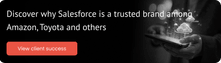 View client success