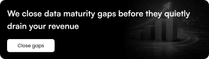 We close data maturity gaps before they quietly drain your revenue