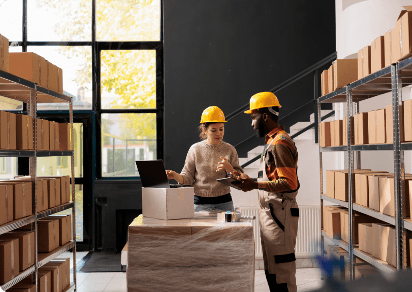Logibee case study